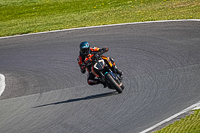 Lower Group Orange Bikes